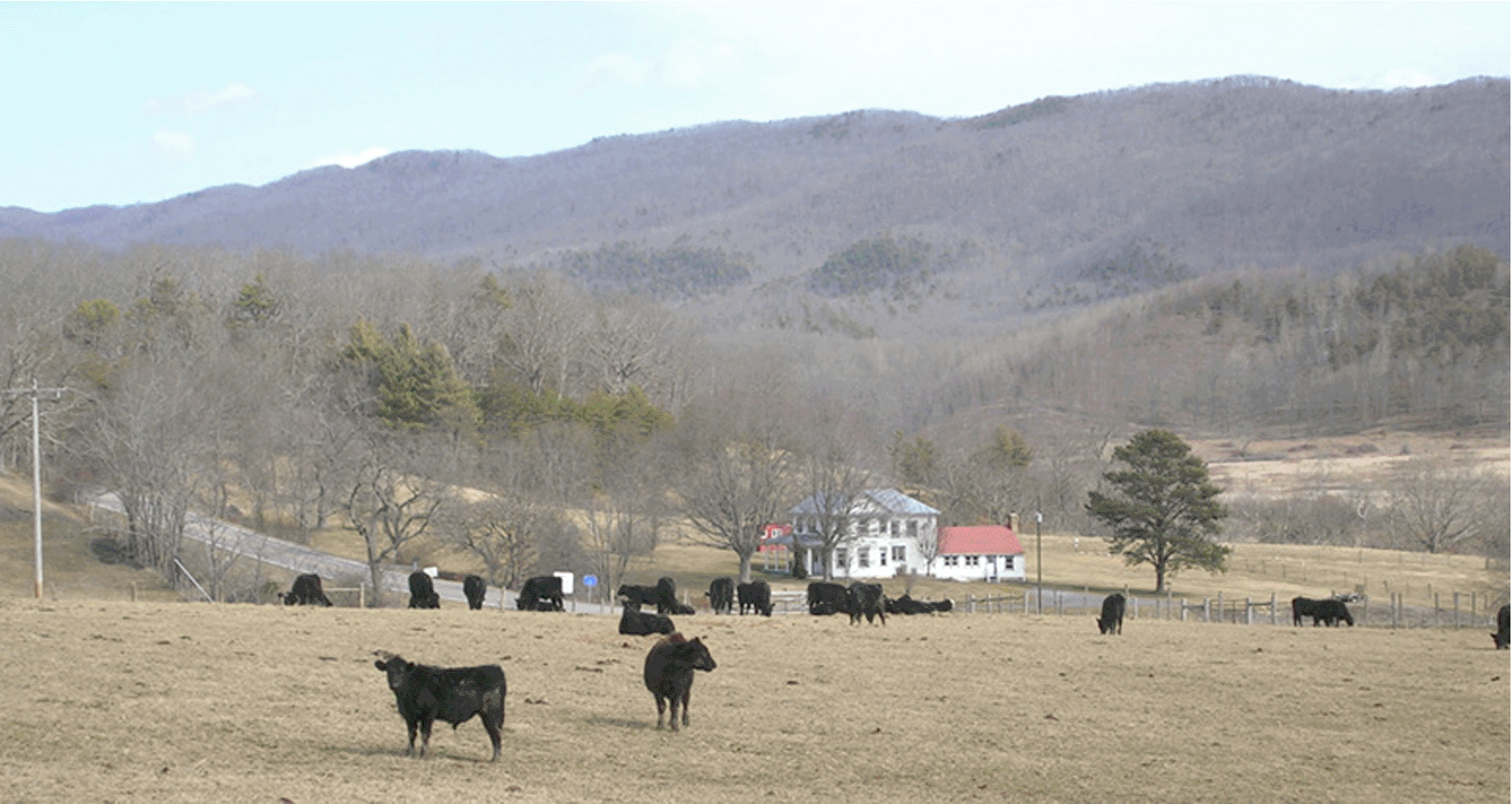 Augustaland Farms