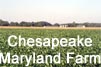 Get a description of the Chesapeake Farm scenario