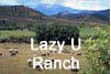 The Lazy U Ranch Icon