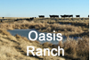 Oasis Ranch Icon